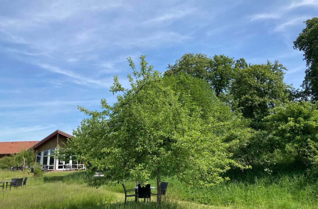 Das Café in Weide. Blick vom Garten auf das Café