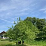 Impressionen vom Hofcafé in Weide