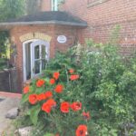 Impressionen vom Hofcafé in Weide
