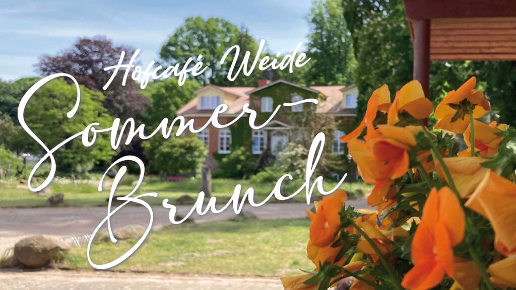 Ein Sommerbild von Weide. Blumen im Vordergrund.